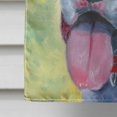 thumbnail image 4 of Carolines Treasures 7306CHF Grande Taille de la Maison Drapeau Apollo, 4 of 4