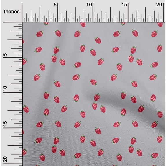 oneOone Silk Tabby Fabric Raspberry Fruit Printed Craft Fabric BTY 42 Inch Wide