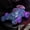 Purple, variant on Msgweeeg Stocking Stuffers for Kids Kids Toys 8-10 Toy Car Push Sliding Stunt Car Toy Cool Appearance Interesting Car Toy for Interactive Play