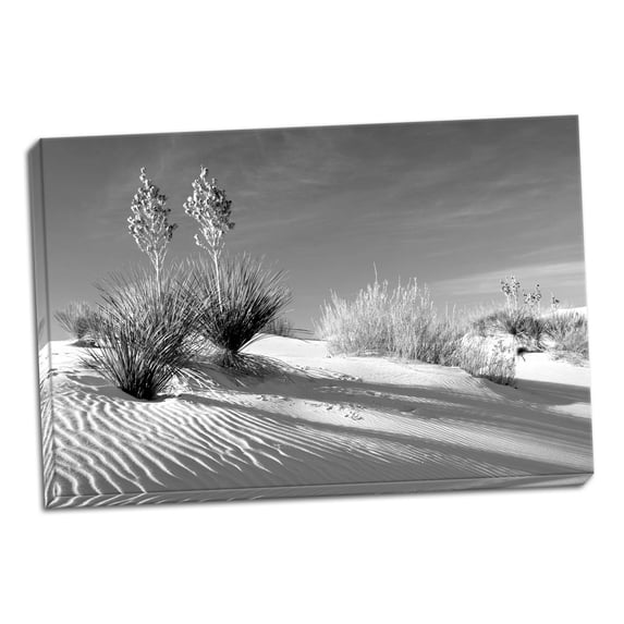 Gango Home Decor Shadows in the Sand II by Douglas Taylor (Ready to Hang); One 36x24in Hand-Stretched Canvas