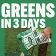 thumbnail image 2 of Scotts Turf Builder Lawn Food, 37.9 lbs., 12,000 sq. ft., Granular Lawn Fertilizer, 2 of 14