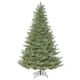 thumbnail image 1 of Princeston Frasier Fir Christmas Tree, 5.5 ft. x 47 in., 1 of 1