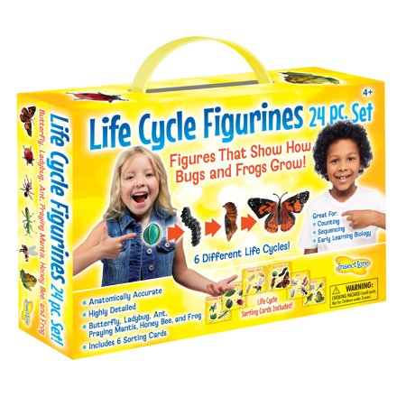 UPC: 0735569022056 | Insect Lore™ Life Cycle Figurines 24 Pieces Set with Handy Carry Case