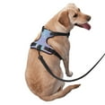 thumbnail image 3 of Lsque Fantasy Gradient Dog Harness, No-Pull Pet Harness with 2 Leash Clips, Adjustable Soft Padded Dog Vest with Easy Control Handle for Large Dogs-X-Large, 3 of 9