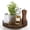 Walnut, variant on Farmhouse Oak 9" Lazy Susan Turntable Organizer for Cabinet, Round Wooden Lazy Susan Organization and Storage for Dining Table, Pantry, Kitchen, Countertop, Cupboard,Home Decor, Walnut Wood