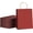 Red Medium, variant on 100 Pcs Paper Gift Bags 8x4.5x10.8 Inch Red Kraft Bag with Handles Bulk for Birthday Wedding Party Favor Bags, Paper Shopping Bags