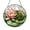 Acrylic 3.5 Inch, variant on Nature Pond Glass Suncatcher Window Hanging Decor, Gentle Frog Light Catcher Accent, Thoughtful Hobby Gift for Mom