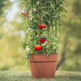 thumbnail image 4 of Support de Jardin Générique 12 Pcs Pilier en Tuyau d'Acier Support de Cage pour Tomate, 4 of 13