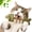 Green, variant on 2026 New Catnip & Silvervine Chew Fish Bone Cat Toy, Natural Wooden Chew Stick for Cats, Interactive Kitten Teething Play, Self Play Boredom Relief
