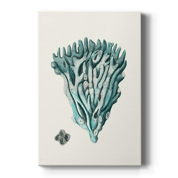 Antique Coastal Coral X Premium Gallery Wrapped Canvas - Ready to Hang