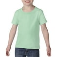 thumbnail image 1 of Heavy Cotton Toddler T-Shirt, 2T, Mint Green, 1 of 3
