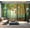 Color4, variant on Peel and Stick Wallpaper early morning sun shines camping tent park lawn Modern Art Wall Mural Decor Self Adhesive and Removable 69in x 98in