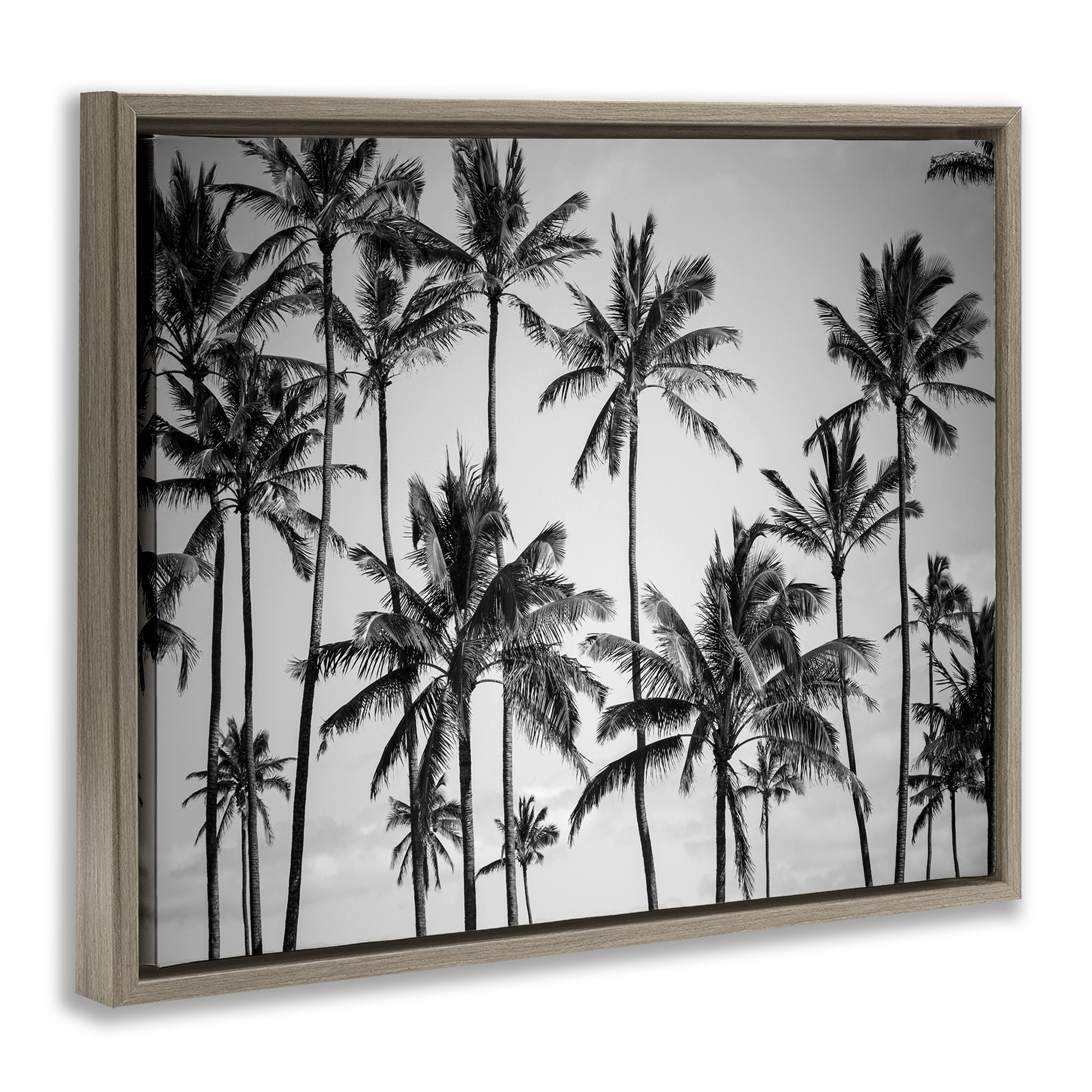 Stupell Industries Black & White Palm Trees Skyline Botanical & Floral Photography Brown Floater Framed Canvas Art Print Wall Art, 31 x 25