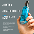 thumbnail image 3 of Johnny B P.M. After Shave, 3.3 oz, 3 of 6