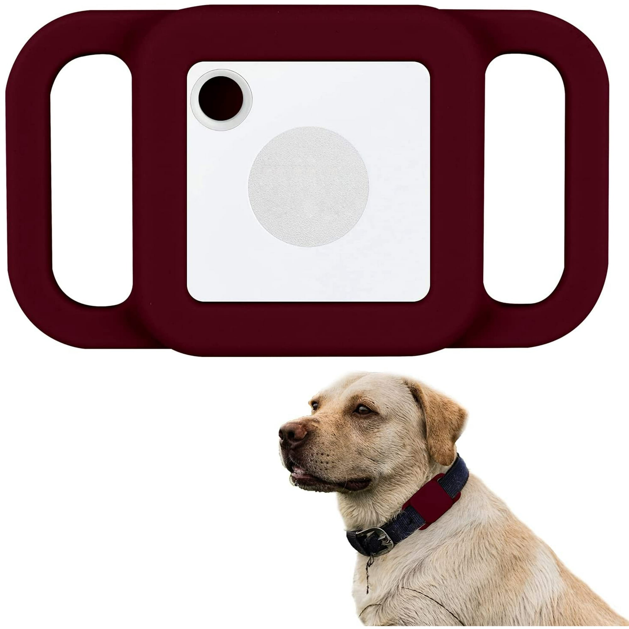 Can You Put Tile On Dog Collar