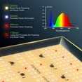 thumbnail image 3 of Luz LED de cultivo MARS HYDRO 2024 TS600 de 100 W con cobertura de 2 x 2 pies, 3 of 7