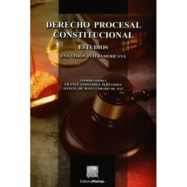 Derecho Procesal Constitucional Estudios una Visión Interamericana Editorial Porrúa 9786070926723