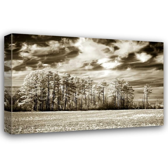 Alan Hausenflock 18x13 Gallery Wrapped Canvas Wall Art Titled - Fallow Field