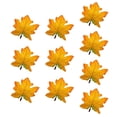 thumbnail image 1 of 10Pieces Colorful Plastic Maple Leaf With Natural Look For DIY Art Projects And Festival Decorations Multicolor, 1 of 5