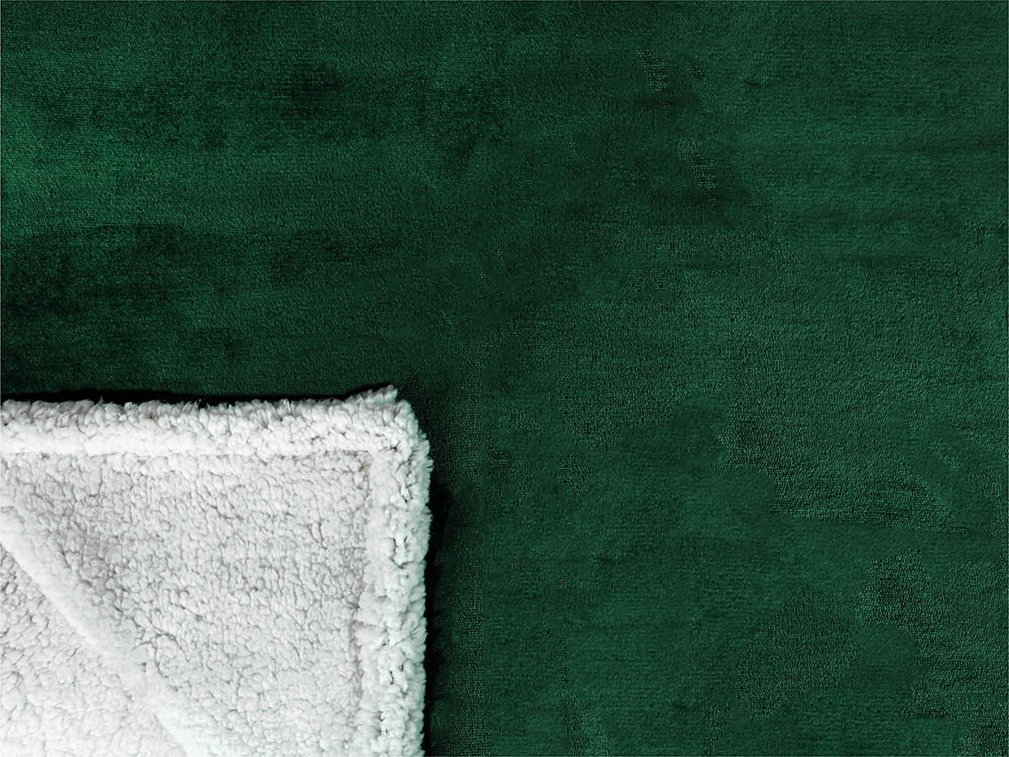 PAVILIA Plush Sherpa Fleece Blanket Throw, Twin, Emerald Green | Soft, Warm, Fuzzy Dark Forest Throw for Couch Sofa | Solid Reversible Cozy Microfiber Fluffy Blanket, 60x80