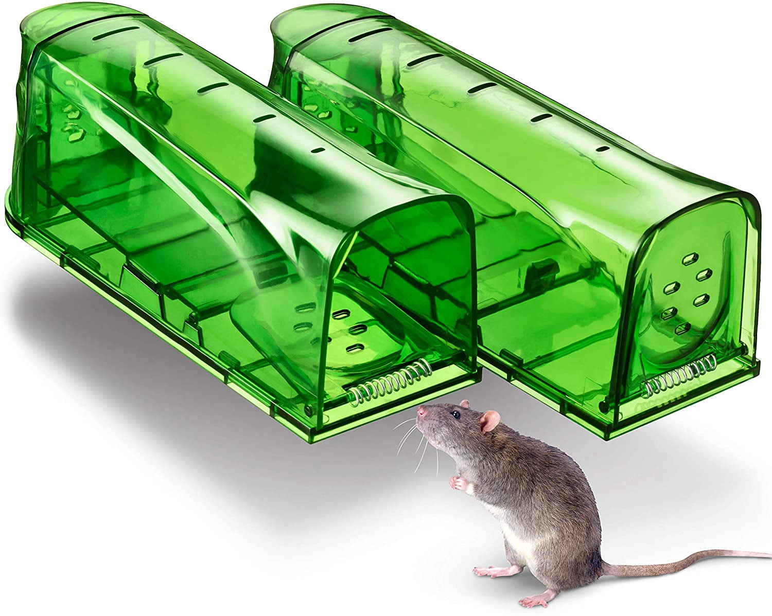 Best Humane Small Mouse Traps Rat Traps Qremove Mouse Trap,Mice Traps That Work 