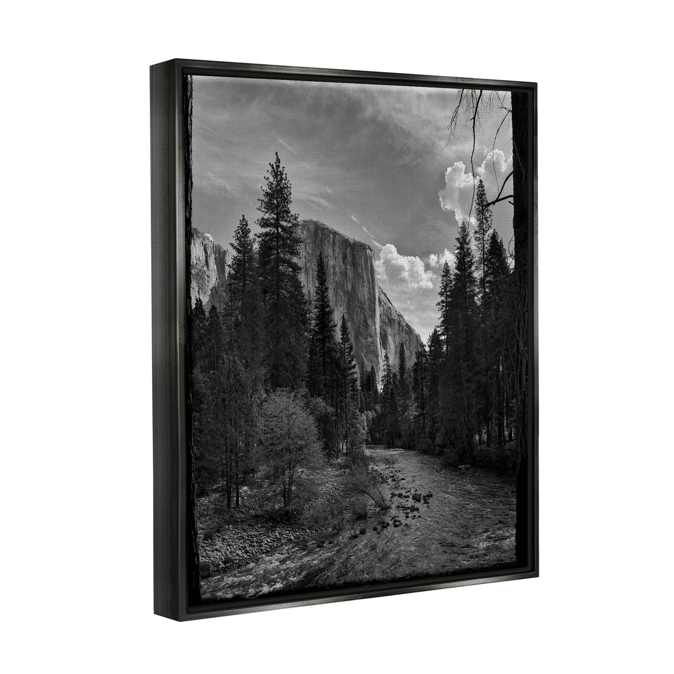 Stupell Industries Yosemite Park Nature Scenery Photograph Jet Black Floating Framed Canvas Print Wall Art, Design by Andre Eichman