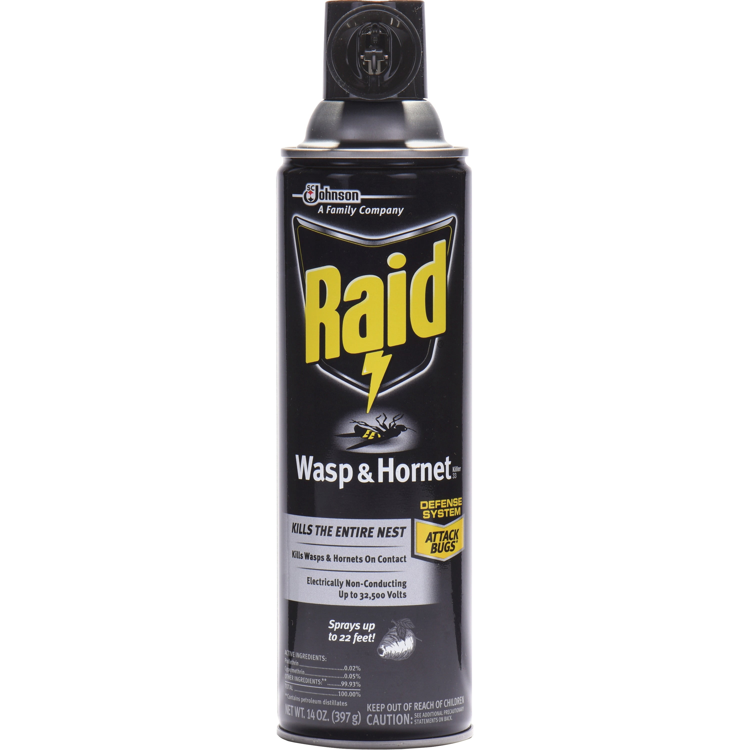 Raid Wasp/Hornet Killer Spray - Walmart.com - Walmart.com