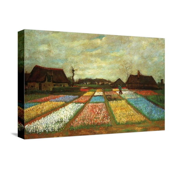 Art.com Flower Beds of Holland Stretched Canvas Print Wall Art by Vincent van Gogh, 18" x 12"