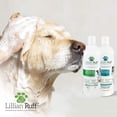 thumbnail image 3 of Lillian Ruff PRO Formula Juego de champú y acondicionador para perros de avena desodorizante - Calma la picazón y las alergias Alivio ultra nutritivo de la piel seca - Avena, aloe, aceite de coco, lav, 3 of 5