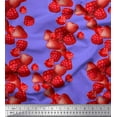 thumbnail image 1 of Soimoi Georgette Viscose Fabric Raspberry,Strawberry & Cherry Fruits Print Fabric by The Yard 42 Inch Wide, 1 of 3