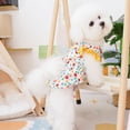 thumbnail image 2 of Cute Flower Print Pet Dress - Flutter Sleeve with Leash Ring - Anti-Shedding - Breathable Soft Dress, 2 of 8