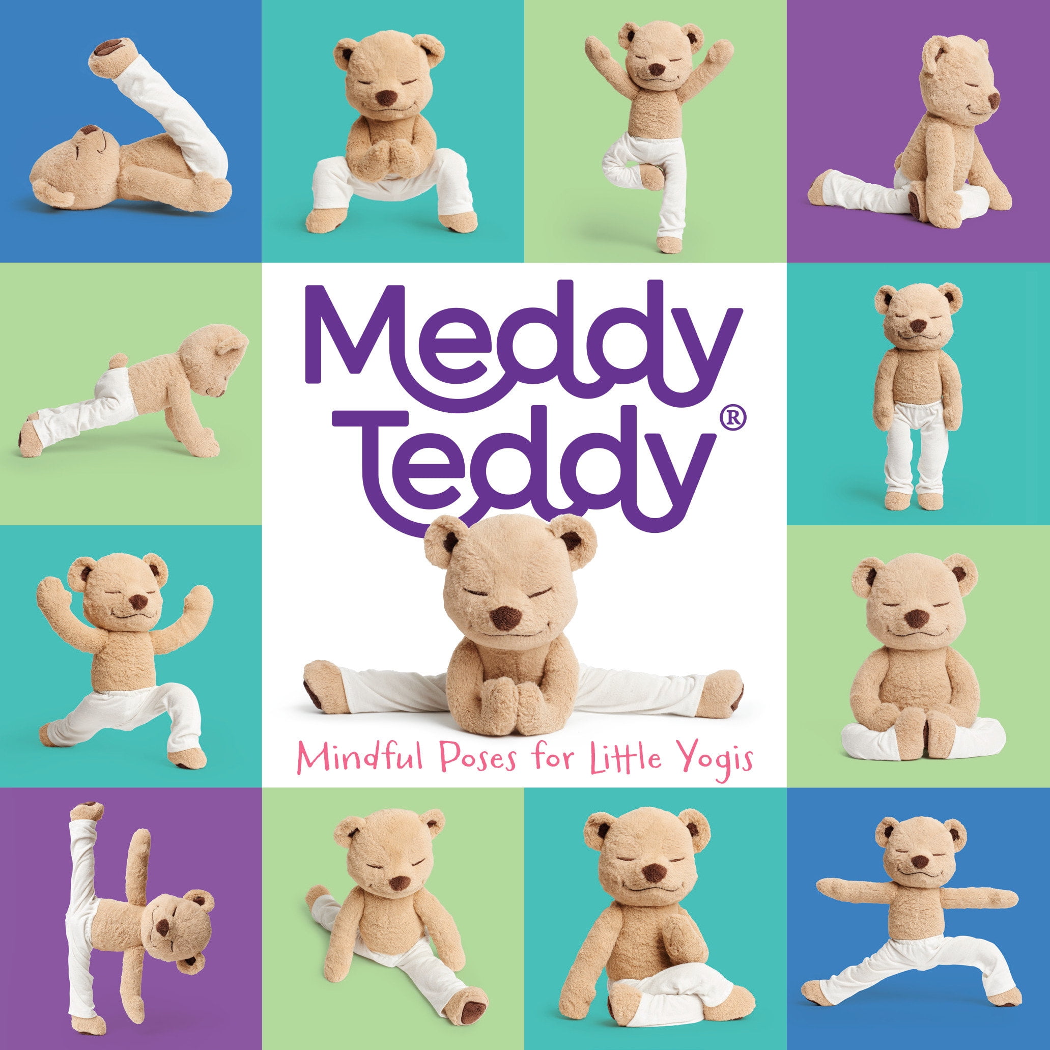 meddy teddy accessories