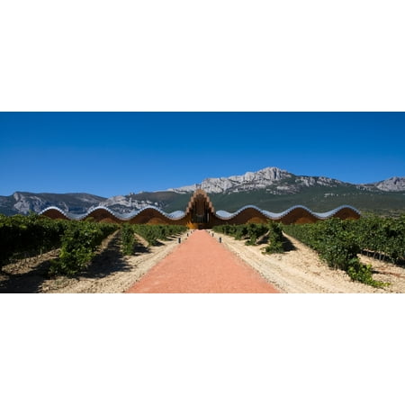 Bodegas Ysios winery building and vineyard La Rioja Spain Canvas Art - Panoramic Images (12 x (Best Rioja Wineries To Visit)