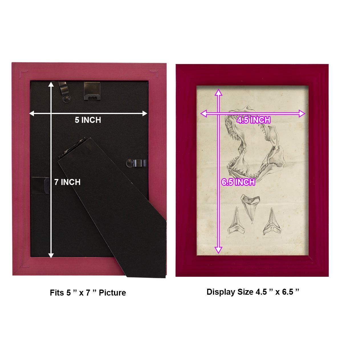 Shark Study II - Framed Print w/glass - Cherry Red