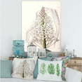 thumbnail image 2 of Designart ' White Vintage Orchid I ' Traditional Canvas Wall Art Print, 2 of 4
