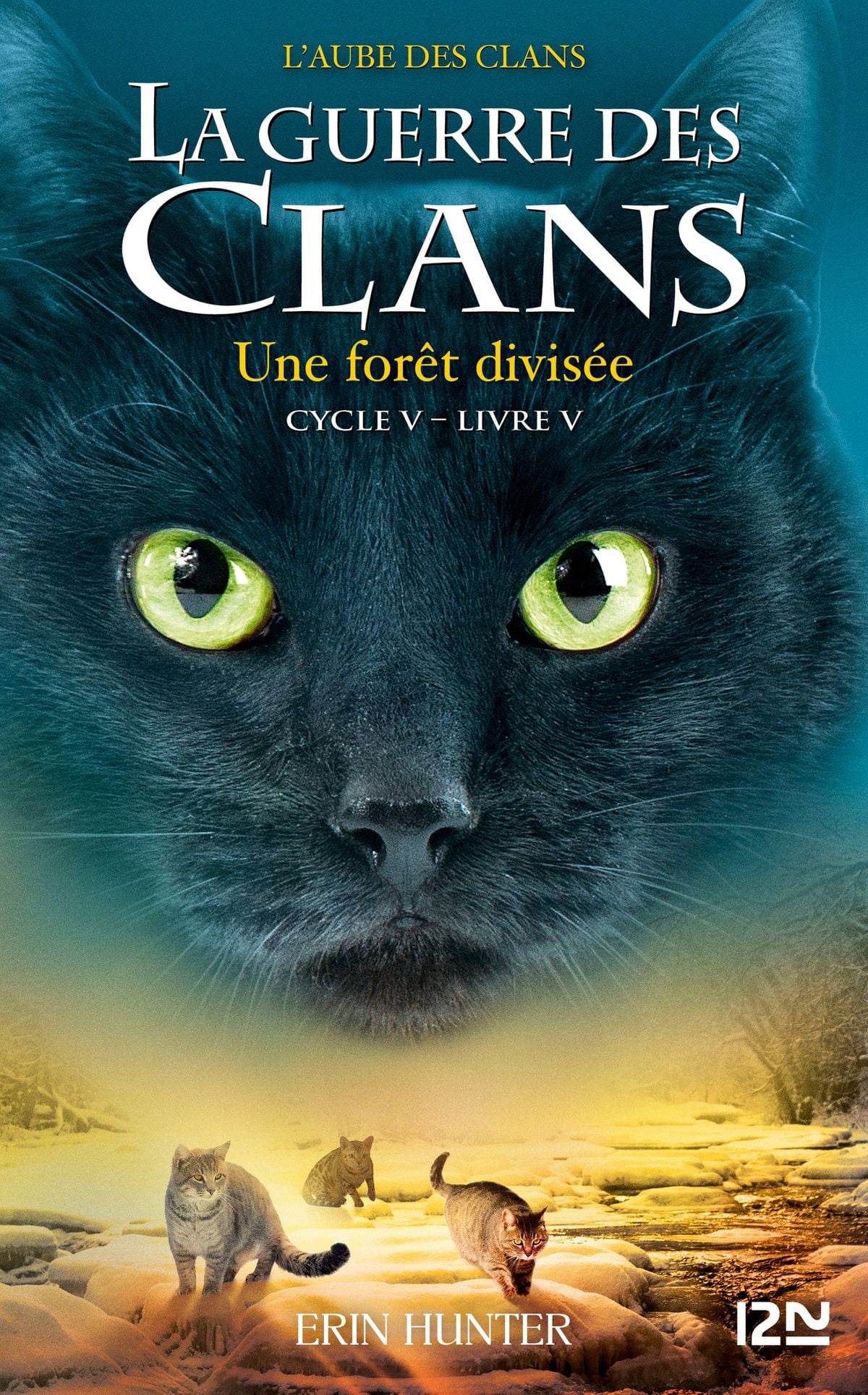 La Guerre Des Clans La guerre des Clans, cycle V - Tome 05 : Une forêt divisée - eBook