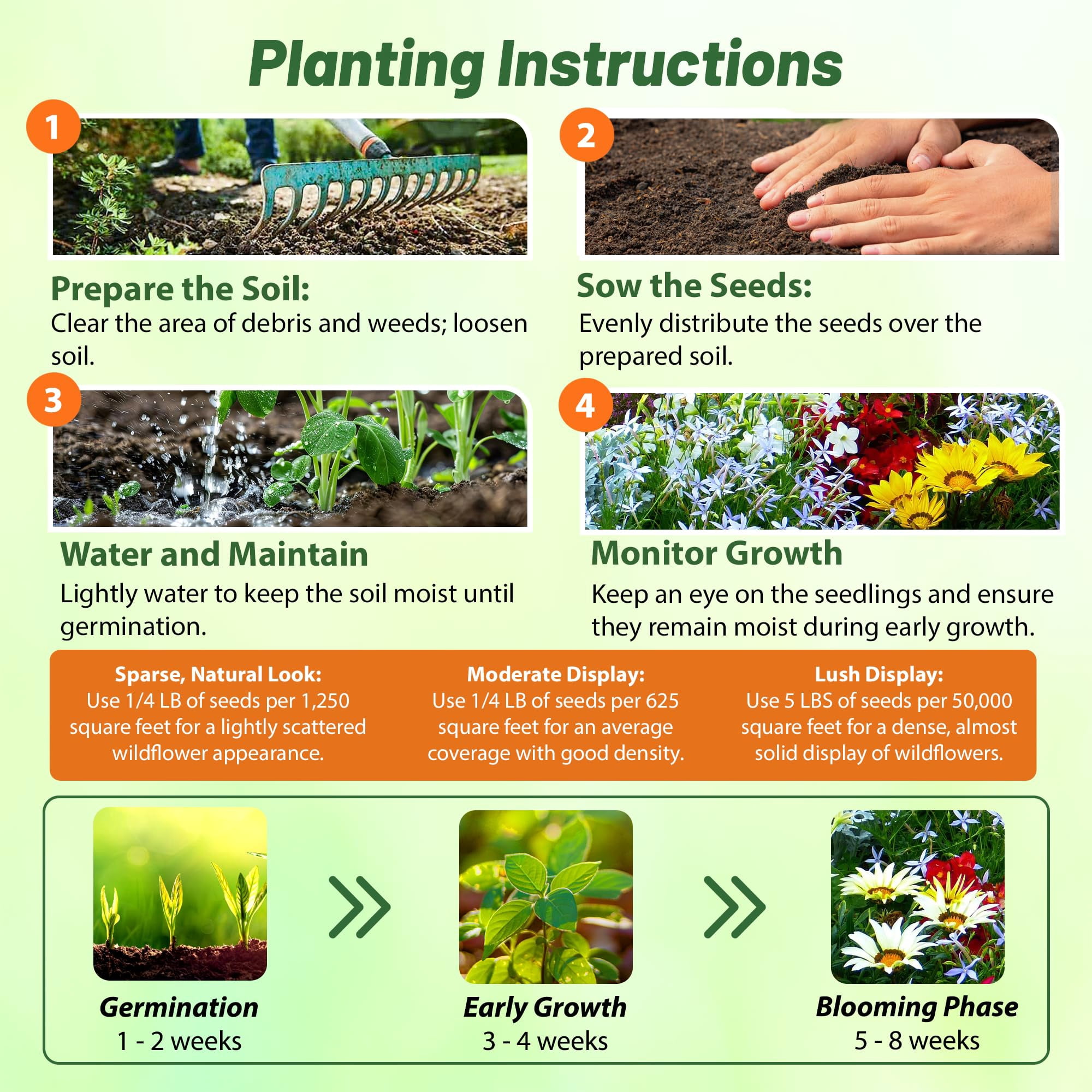 Outsidepride 1 lb. Dwarf, Short, Low Growing Wild Flower Seed Mix for All States