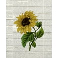 thumbnail image 2 of Bailey, Ann 20x24 Black Ornate Wood Framed with Double Matting Museum Art Print Titled - Sunflower Print 3, 2 of 4