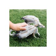 Safari Ltd. Wolf Dragon Figurine - Detailed 8 Model Figure - Fantasy Toy for Boys, Girls & Kids Ages 4+