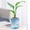 Blue, variant on Self-Watering Plants Pots for Indoor Plants - Plastic Water Storage Flower Pots with Self-Absorbing System for Mess Cultivation - Desktop Planter for Living Room Home Office Decoration - 1 Pack