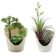 thumbnail image 1 of 2 uds suculentas de simulación, macetas falsas, flores artificiales, pequeños adornos creativos, simulación de plantas verdes, plantas en macetas, 1 of 5
