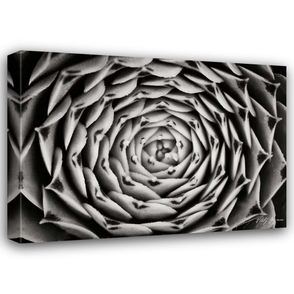 Vitaly Geyman 18x14 Gallery Wrapped Canvas Wall Art Titled - Floral Labyrinth I