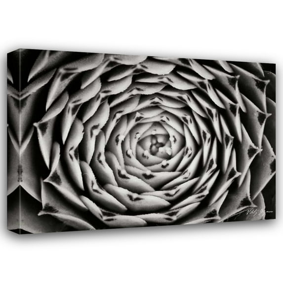 Vitaly Geyman 32x24 Gallery Wrapped Canvas Wall Art Titled - Floral Labyrinth I