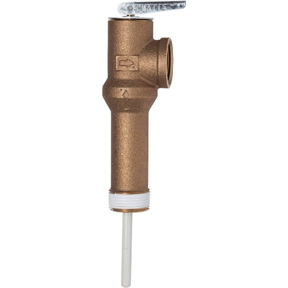 Reliance 0100108-601 2-1/2" Water Heater Temperature & Pressure Relief Valve