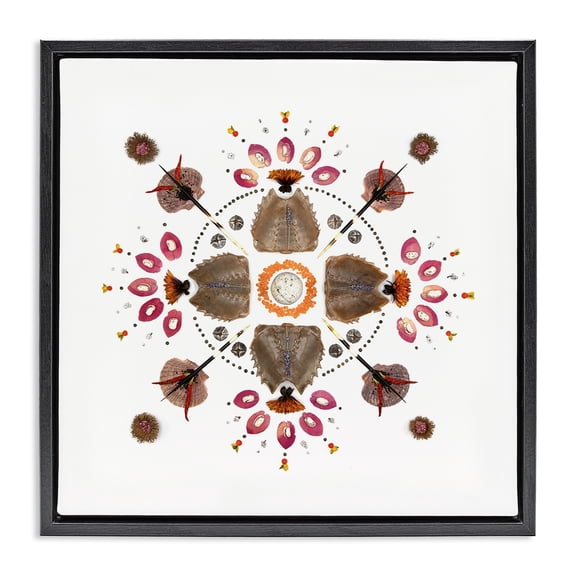 Stupell Industries Eclectic Symmetrical Nautical Collection Black Floating Frame Canvas Art, 18 x 18, by Beth Adoette
