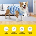 thumbnail image 5 of Recovery Suit Dog Surgical Recovery Suit Puppy Medical Surgical Clothes Dog Post-Operative Vest for Abdominal Wounds Skin Diseases, 5 of 6