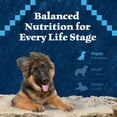 thumbnail image 5 of Blue Buffalo Wilderness Puppy High-Protein Natural Dry Dog Food, Chicken Recipe, 13-lb. Bag, 5 of 12