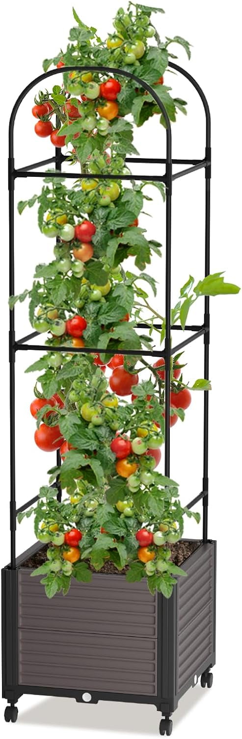 ABORON Raised Garden Bed Planter Box with Trellis, Plants Outdoor and Indoor Tomato Cage for Climbing Vegetables Plants & Herbs & Flowers w/Self-Watering & Wheels, Indoor Outdoor Use