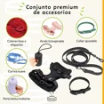 thumbnail image 2 of Conjunto Premium De Accesorios Para Paseo Para Perro Y Gato, 2 of 8