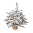 thumbnail image 5 of Vickerman 24" Flocked Anoka Pine Artificial Christmas Tree, Unlit, 5 of 5